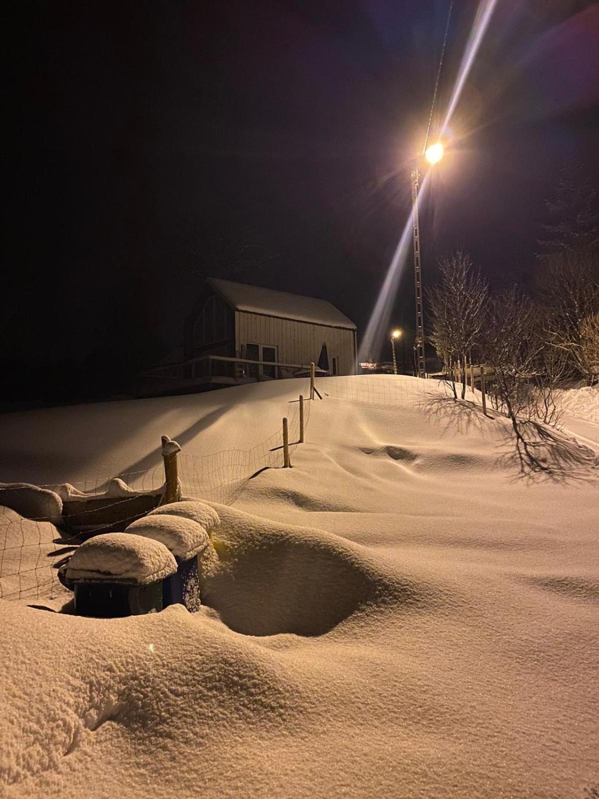 Domek Mecenasa Nieledwia Exteriör bild